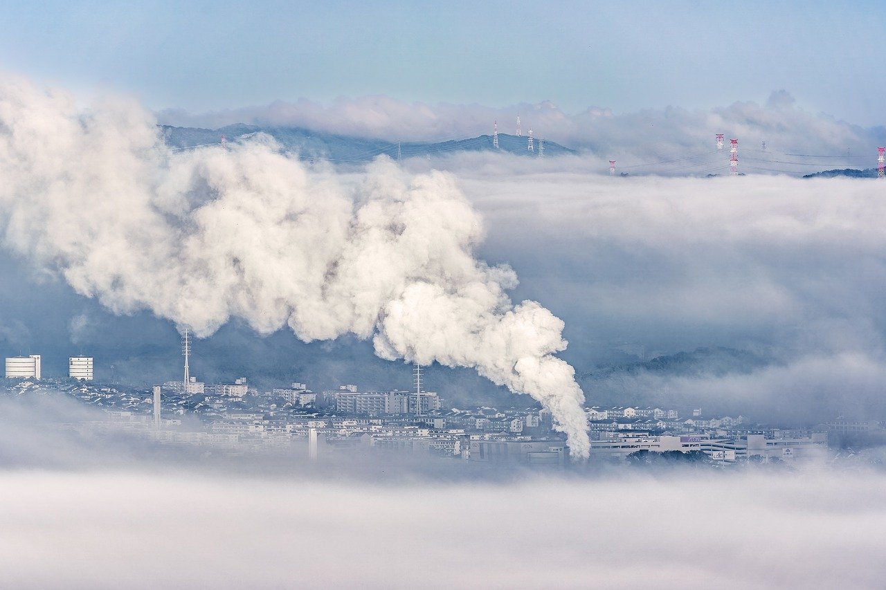 Tackling the Silent Killer: Air Pollution's Impact on Biodiversity